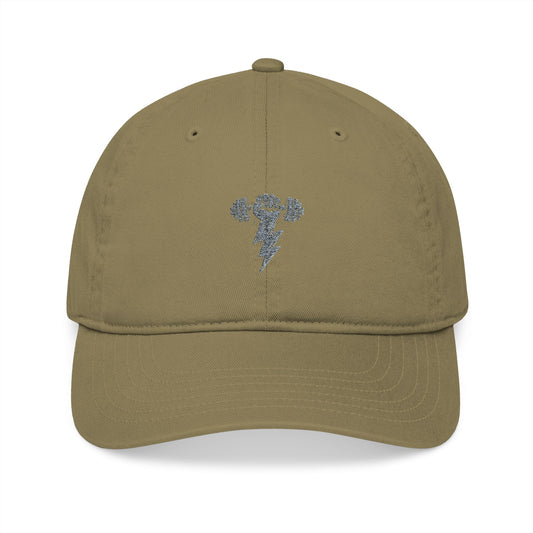 Thunderbolt Embroidered Organic Baseball Cap, Eco-Friendly Hat, Unique  Riff Raff Wear