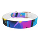 PetNique Graffiti Dog Collar