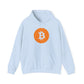 Riff Raff Wear Bitcoin Unisex Heavy Blend™ Hooded Sweatshirt