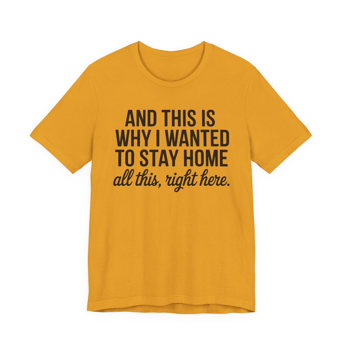 Stay Home Unisex Tee, Relaxed Fit Short Sleeve, Gift for Homebodies, Cozy Casual Shirt, Perfect for Introverts - Riff Raff Wear
