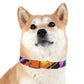 PetNique Graffiti Dog Collar