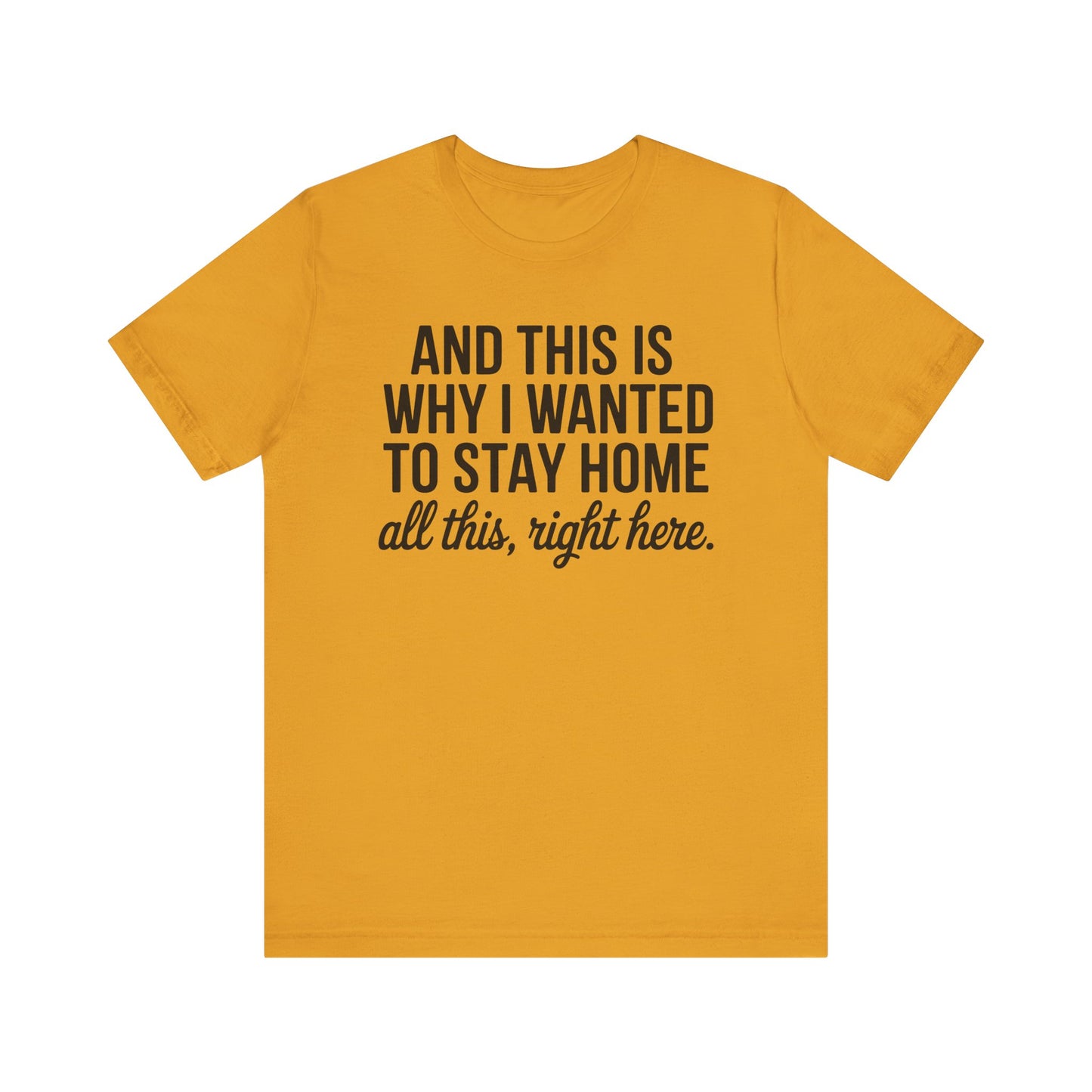 Stay Home Unisex Tee, Relaxed Fit Short Sleeve, Gift for Homebodies, Cozy Casual Shirt, Perfect for Introverts - Riff Raff Wear