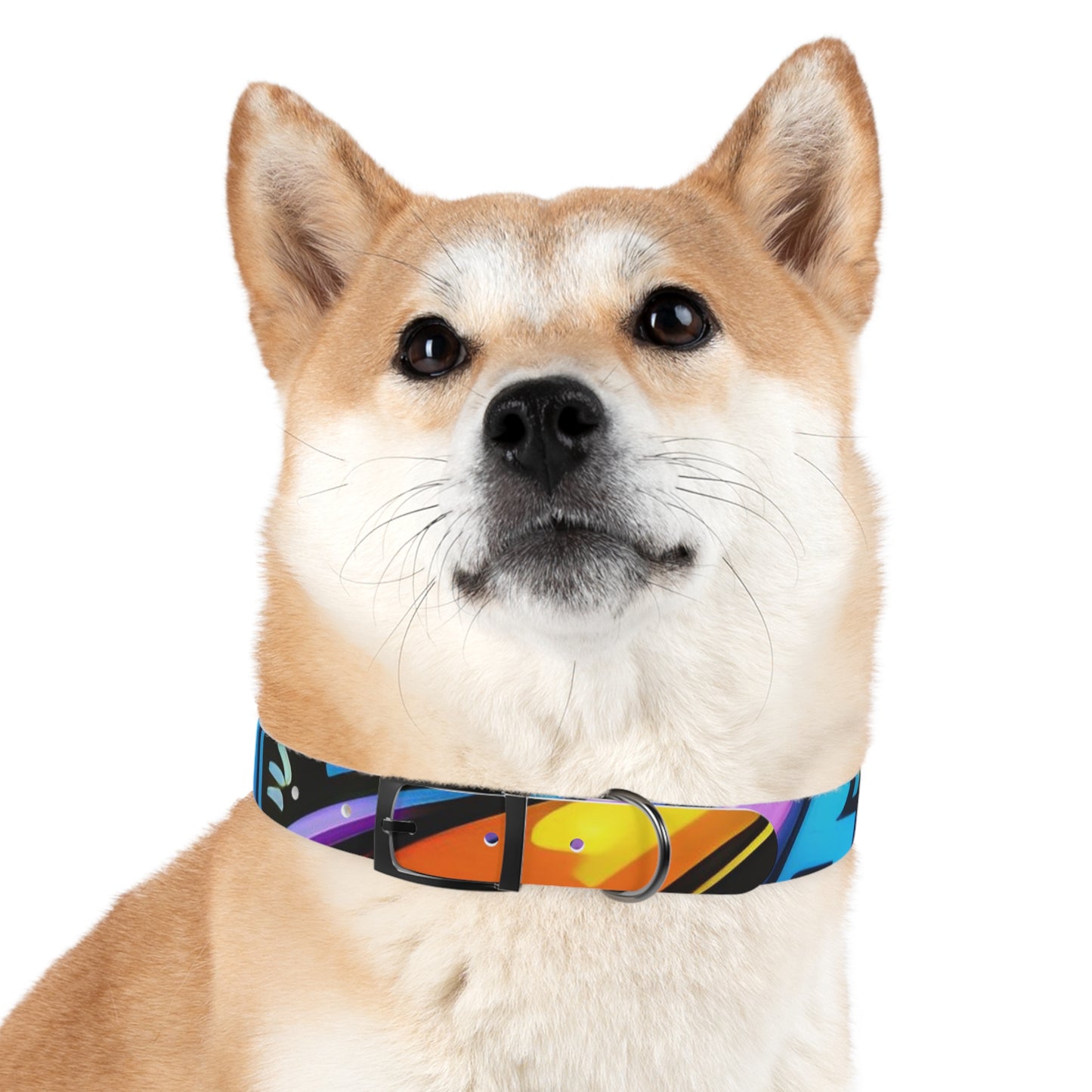 PetNique Graffiti Dog Collar