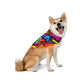 PetNique Graffiti Pet Bandana