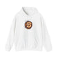 Graphic Hooded Sweatshirt Bitcoin - Riff Raff Wear
