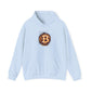 Graphic Hooded Sweatshirt Bitcoin - Riff Raff Wear
